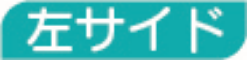 左サイド
